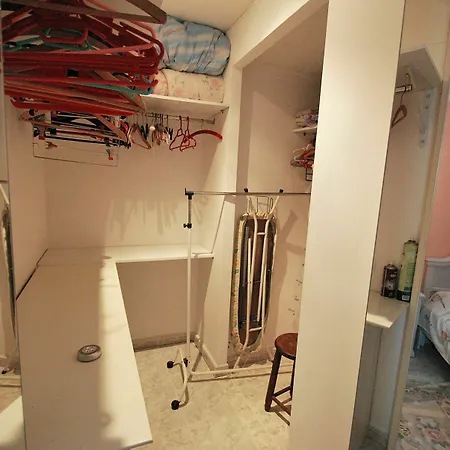 Bugamvilla - Deniasol * 德尼亚